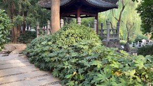 Путешествие в Китай с компанией WHIEDA
Пекин- Сиань-Тяньцзинь