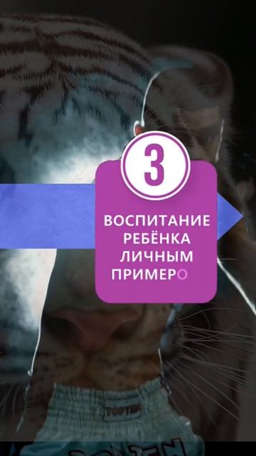 КУДО тренировки взрослым и детям. Клуб кудо для семей. Спорт ярославля #белыйтигрярославль