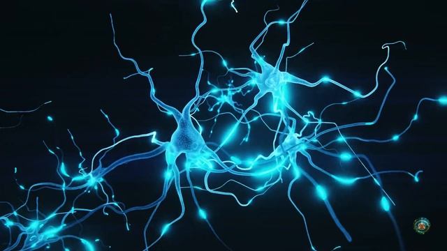 379 Hz Очищение,улучшение,восстановление функций работы смотреть онлайн