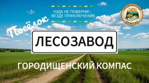 Тихий мир Лесозавода: прошлое, настоящее и мечты. Пустеющие деревни
