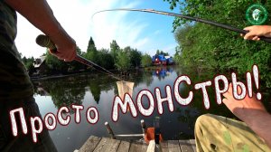 ЗДОРОВЕННЫЕ РЫБИНЫ РАЙСКОГО ОЗЕРА! УДОЧКА СКРИПИТ, ЛЕСКА ЗВЕНИТ, ПОВОДКИ ДЕРЖАТ А КРЮЧКИ РАЗГИБАЕТ!