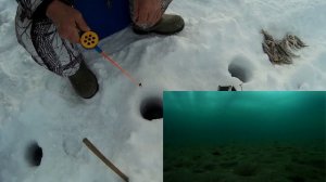 С блесной на окуня.