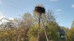 Багратион-2025. Бросок на Минск