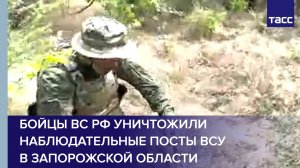Бойцы ВС РФ уничтожили наблюдательные посты ВСУ в Запорожской области