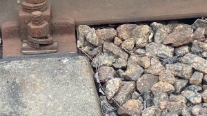гадюка на железнодорожной насыпи.