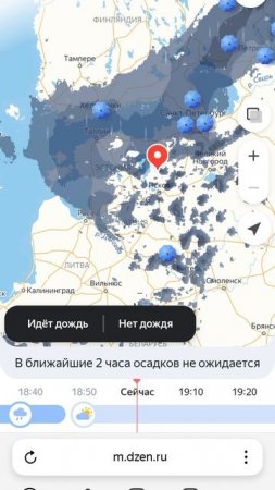 Прогноз погоды Олень 😂😂😂. Как?