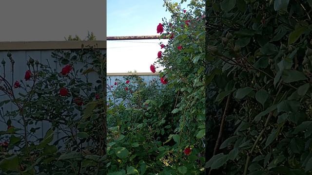 Море, солнце, витамины.