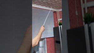 экран проектора с алисой