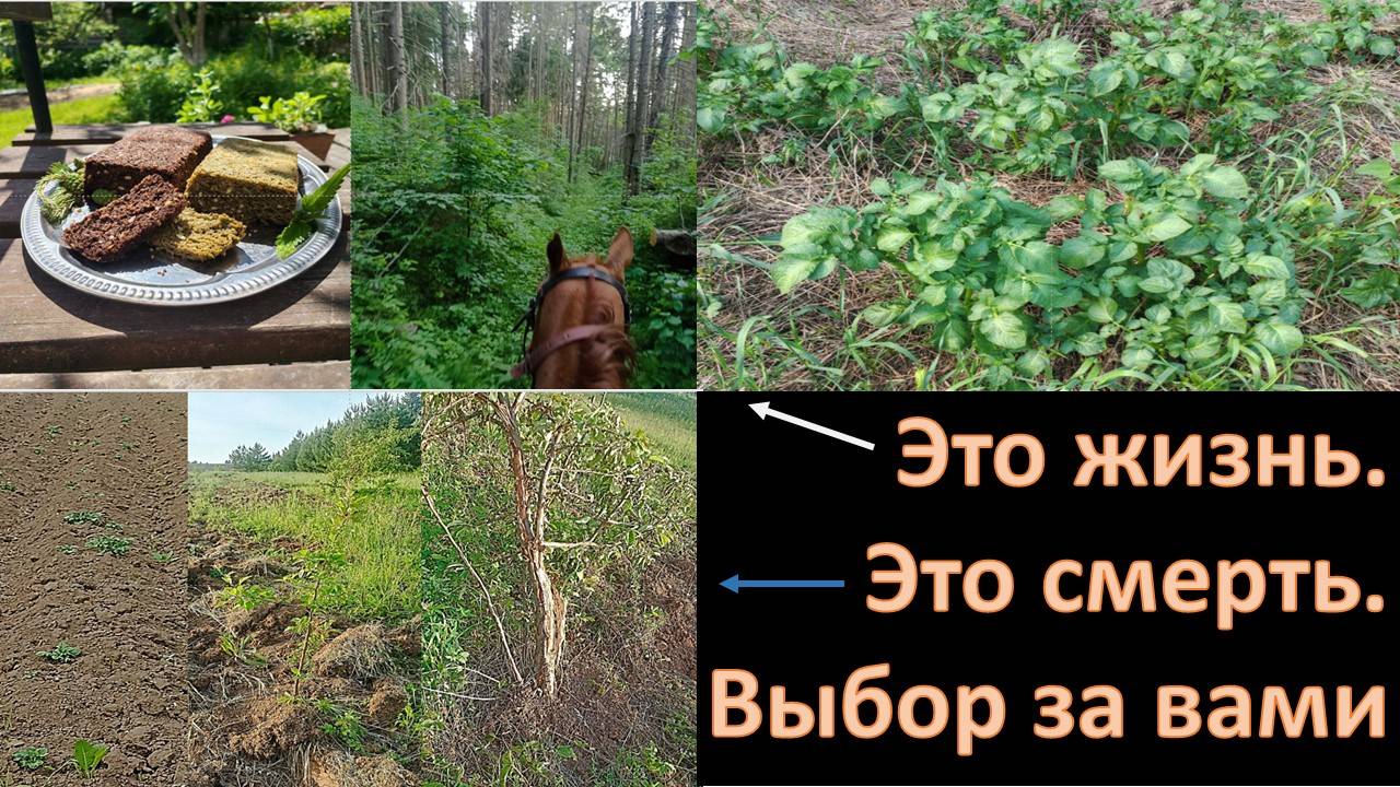 Нам есть, что терять. Или мы сделаем свою жизнь счастливой. Или нам конец