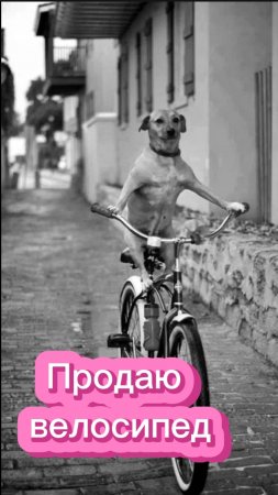 Велосипед продаёте?