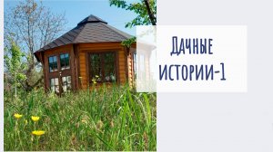 Дачные истории-1. Про аромо палочки, летучую мышь, гнездо шершней, жгут и цветы.