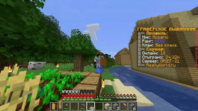 как удалить ПРИВАТ? | MINEKRAFT
