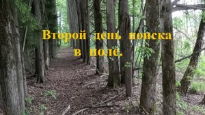 Второй день.Пришлось возвращаться на старое поле.