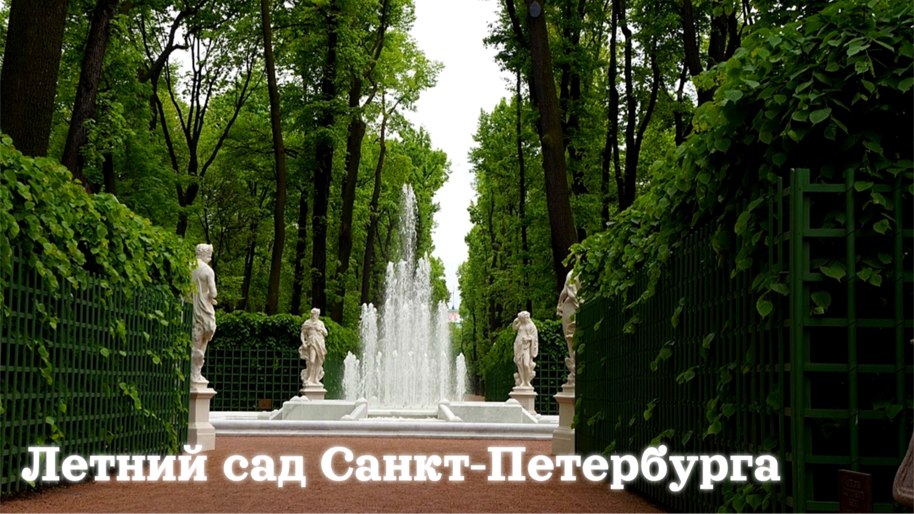 Летний сад Санкт-Петербурга / небольшая прогулка / Май 2025 / 4К