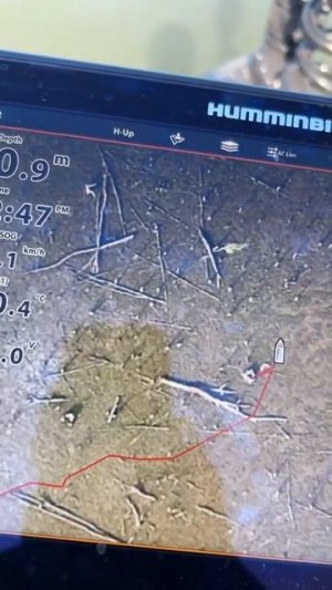 Humminbird картография.