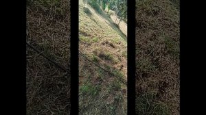 Температура повышается,а условий для растений нет.