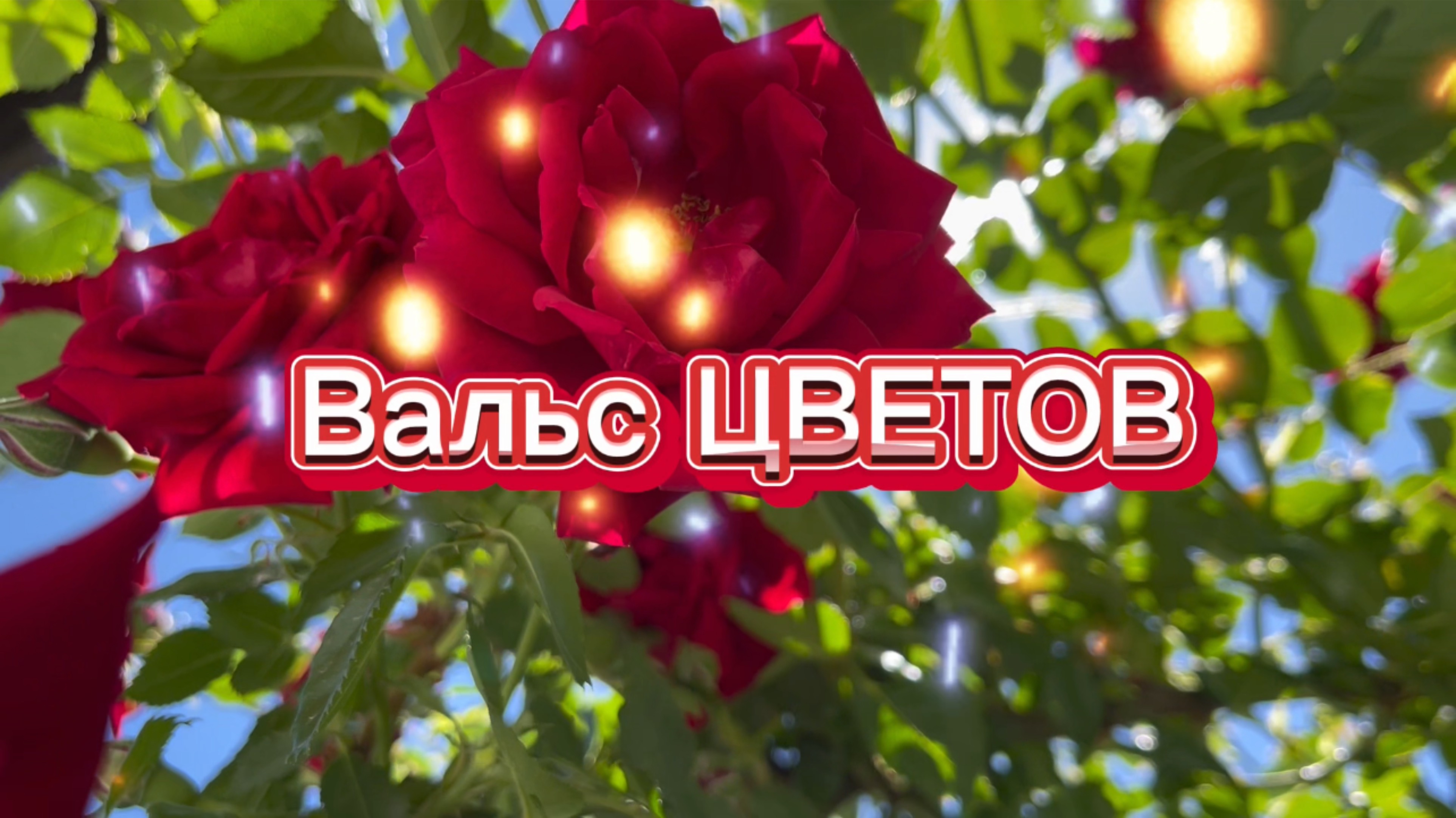 Вальс цветов. С днем цветка