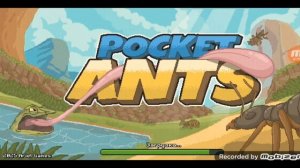 слил лягушку на 4 звезды + тест лягушки в pocket ants