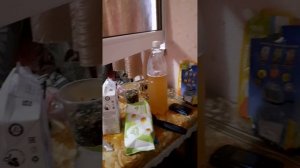 КУПАЕМСЯ В МОРЕ. РАКОВ ЕДИМ. КАТАЕМСЯ НА КОЛЕСЕ ОБОЗРЕНИЯ.