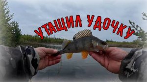 Поехал на разведку с удочкой и спиннингом