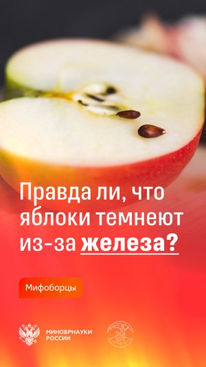 Правда ли, что яблоки темнеют из-за железа?