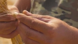 Зерноуборочный комбайн RSM 161 - отзыв