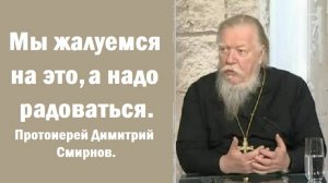 Мы жалуемся на это, а надо радоваться. Протоиерей Димитрий Смирнов. 2004.03.17.