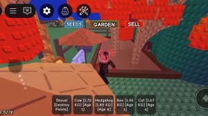 ОБЗОР НОВОГО РАСТЕНИЯ EMBER LILY В ВЫРАСТИ САД роблокс