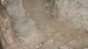 Балык свиной