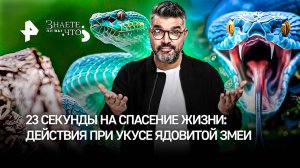 Спастись за 23 секунды: как выжить после укуса ядовитой змеи / "Знаете ли вы, что?"