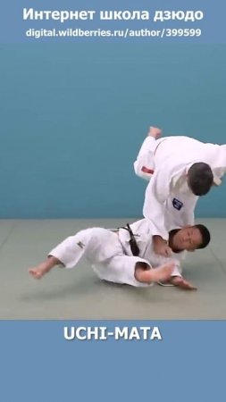 Интернет школа дзюдо. UCHI-MATA 2