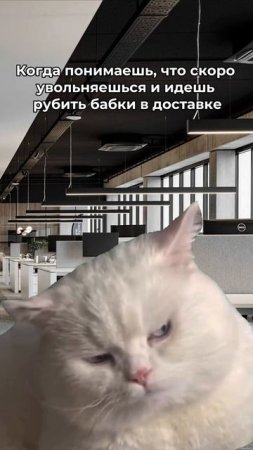 На лице — смесь облегчения, гениальности и предвкушения баблишка! 😎

#ТопGo_работа
