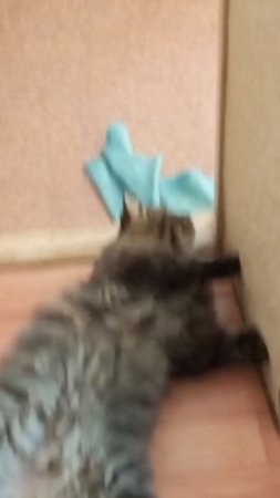 Ах,это солнце! С утра встаёт и летним жаром всех печёт!
( Передержка Елены С.)