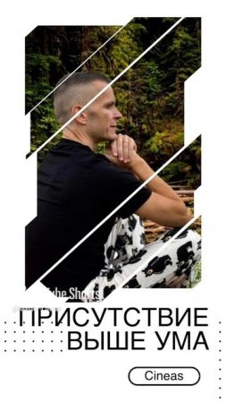 ПРИСТУТСТВИЕ ВЫШЕ УМА