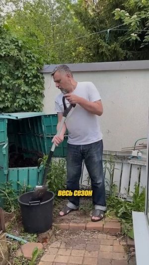 ТОП многолетних трав для вашего участка