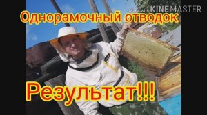 Однорамочный отводок спустя 3 месяца. Результат!/Пчеловодство на Урале