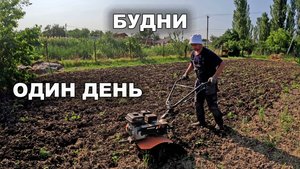 Один хороший день