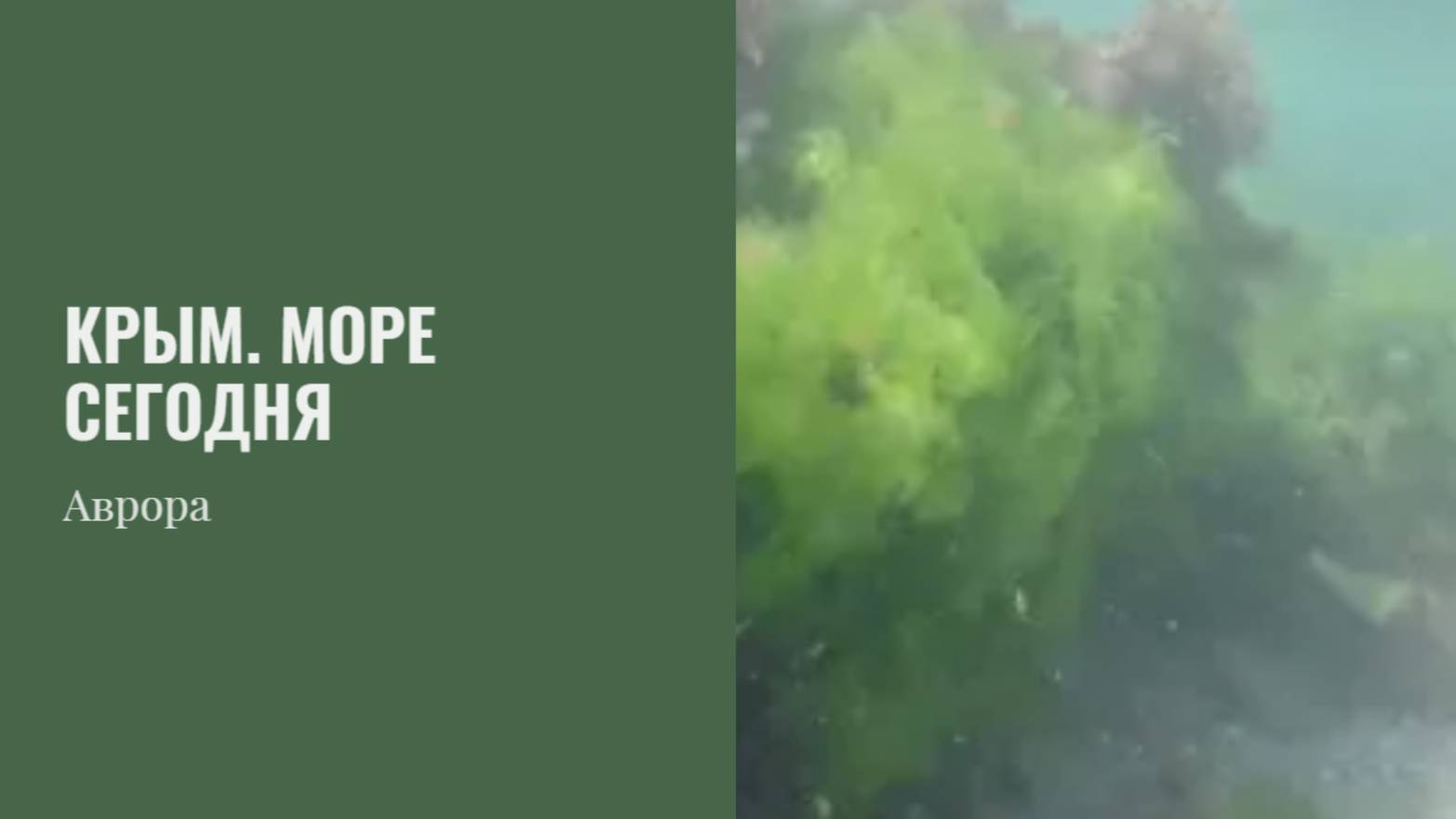 Крым. Море сегодня