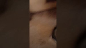 3 глава ужас Саша ранавей. Спас сестру в подвале рыбака