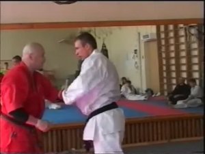 Андрей Кочергин . Кои Но Такинобори рю. Тактика в боях Хокутоки. Ч 4