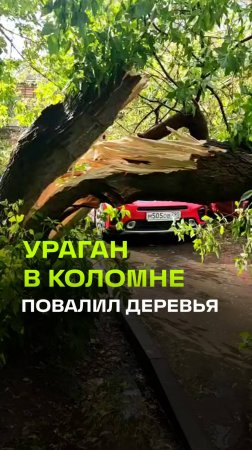 Ураган в Коломне повалил деревья
