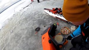 Сап-масленица на льдине.