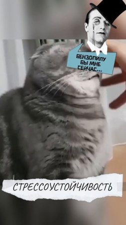 Мои основные деловые качества, это...