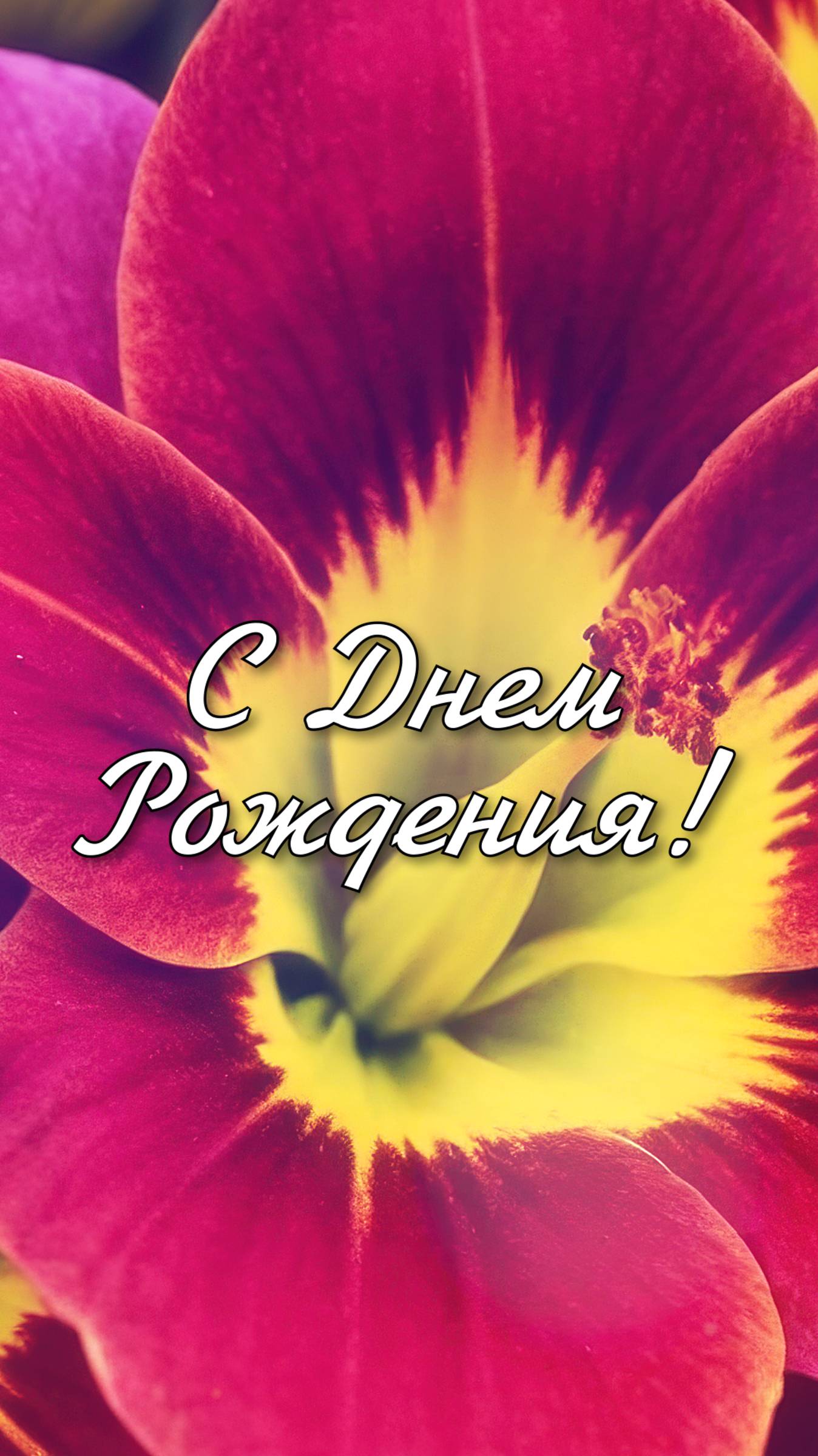 С Днём Рождения!💐Душевное видео-поздравление