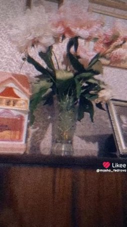 моё видео из лайка 😭
