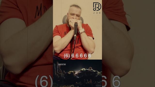 Boris Plotnikov - The Last of Us main theme (+tab) JDR Assassin harmonica cover