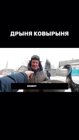 Дед выращивает Страусов