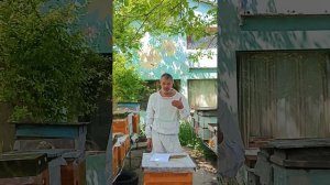 Суперпродукт о котором никто не знает! Гомогенат трутневых личинок. От чего зависит его качество?