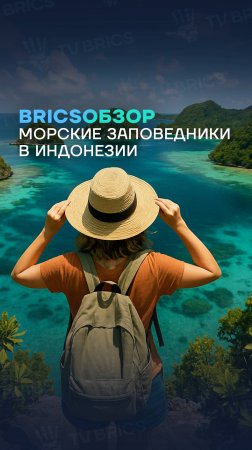 #BRICSобзор ➡️ В Индонезии создадут 200 тысяч гектаров морских заповедников в 2025 году