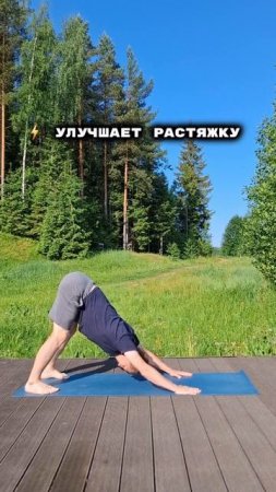 Незаменимая поза для спины - собака мордой вниз. Спина прямая. Ноги могут быть подсогнуты. #йога